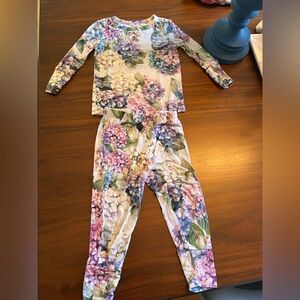 Posh Peanut 2 piece pajamas